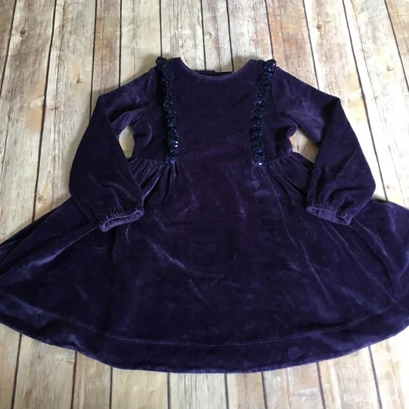 Mini Boden | Dresses | Mini Boden Purple Velour Dress | Poshmark